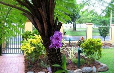 Waterfront Terraces - Timeshare Accommodation 1