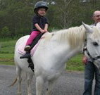 Mansfield Cottage Barrington Tops Accommodation - Timeshare Accommodation