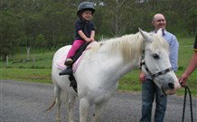 Mansfield Cottage Barrington Tops Accommodation - Timeshare Accommodation 0