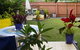 Frangi Breezes Bed And Breakfast - - thumb 5