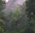 Havans Ecotourist Retreat - - Timeshare Accommodation