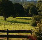 Pines on the Plateau - Timeshare Accommodation