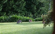 Yallambee Bed And Breakfast - Timeshare Accommodation 4