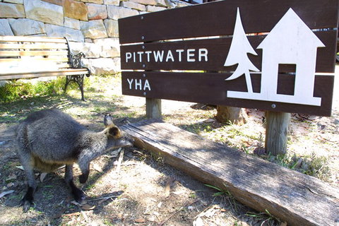 Sydney - Pittwater YHA - Timeshare Accommodation 9
