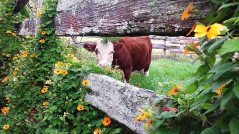Fairview Farm Cottages - Timeshare Accommodation 4