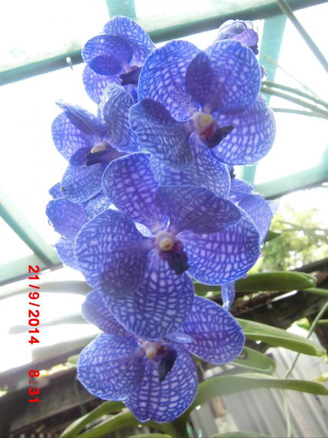 Flying Fish Point Tourist Park - Timeshare Accommodation 8