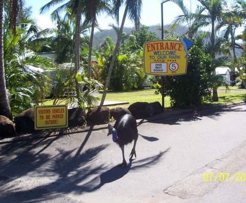 Flying Fish Point Tourist Park - Timeshare Accommodation 9