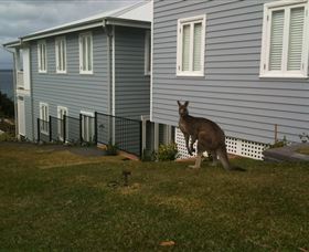 Hyams Beach Bed And Breakfast - Timeshare Accommodation 6