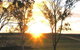 Stockton Rise Country Retreat - thumb 1