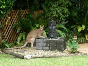 Bluewater Bed And Breakfast Cairns - Timeshare Accommodation 3