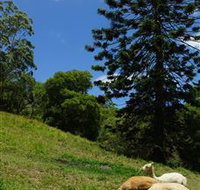 Wattle Gully Retreat - Timeshare Accommodation