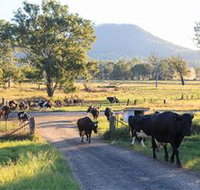 Tommerups Dairy Farmstay - Timeshare Accommodation