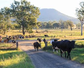 Tommerups Dairy Farmstay - Timeshare Accommodation 0