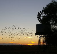 Nevertire Hotel - Timeshare Accommodation