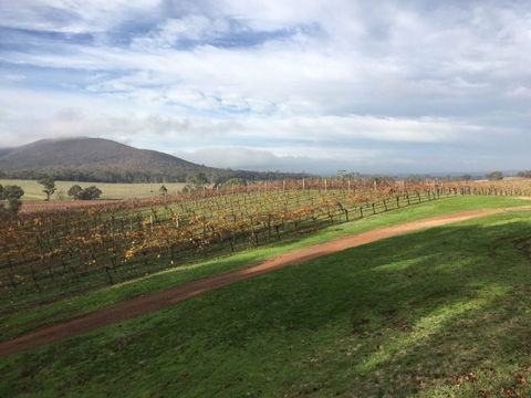 Sanguine Estate - Timeshare Accommodation 29