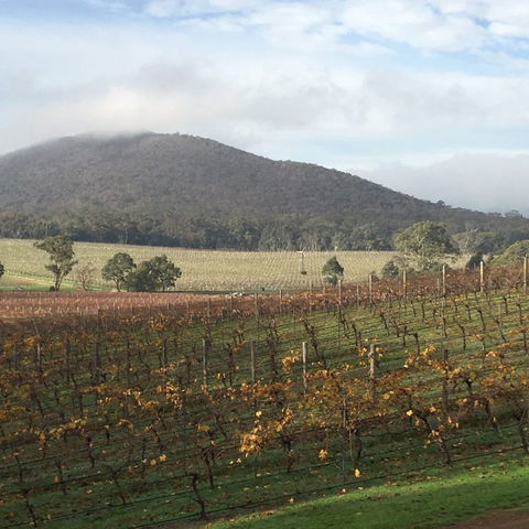 Sanguine Estate - Timeshare Accommodation 44