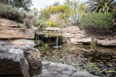 River Shack Rentals - Living The Dream - Timeshare Accommodation 35