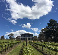 Mortimer's Accommodation amongst the Vines