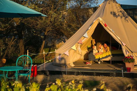 Grapevine Glamping - Timeshare Accommodation 5