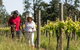 Grapevine Glamping - thumb 7