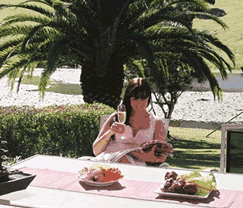 Sunny Hill Retreat Accommodation & Day Spa - Timeshare Accommodation 4
