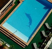 Pacific International Hotel - Timeshare Accommodation