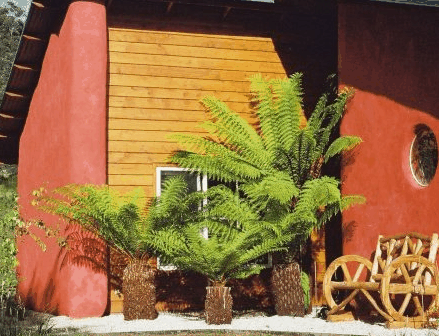 Whispering Spirit Cottage  Miniature Pony Stud - Timeshare Accommodation