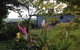 Halcyon Cottage Retreat - Self Contained Accommodation - thumb 0