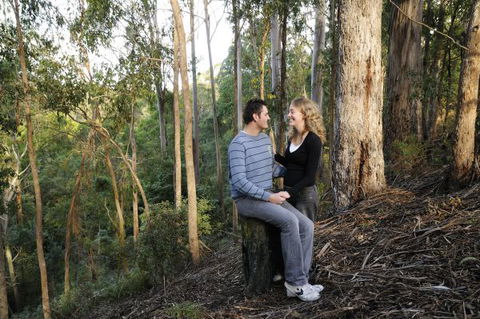 Goldsmith's In The Forest - Timeshare Accommodation 3