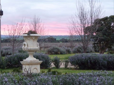 Angas Plains Wines Suites - Timeshare Accommodation 3