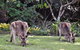 'The Dales' Boutique Bed And Breakfast - thumb 9