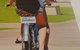Foreshore Backpackers - thumb 3