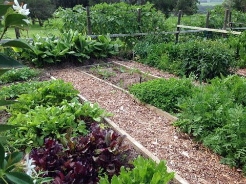 Jamberoo Valley Farm - Timeshare Accommodation 3