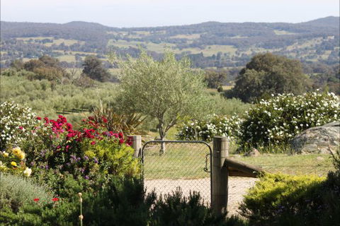 L'Oliveraie - Timeshare Accommodation 1