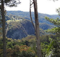 Mt Tamborine Motel - Timeshare Accommodation