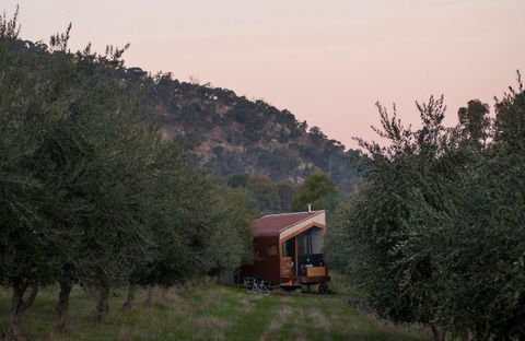 Shacky In The Olive Grove - Timeshare Accommodation 0