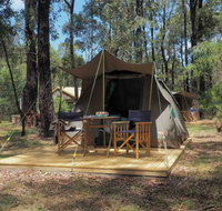 Tall Trees Camping on the Great Ocean Road - Timeshare Accommodation