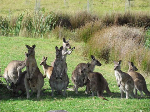 Tanja Lagoon Camp - Timeshare Accommodation 6