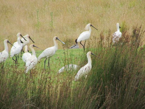 Tanja Lagoon Camp - Timeshare Accommodation 9