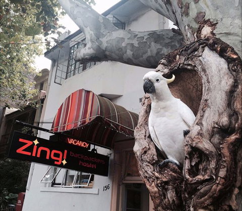 Zing! Backpackers Hostel - Timeshare Accommodation 0