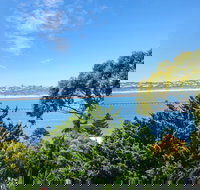 Bluff Retreat - 17 Davies Street