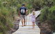 Kingfisher Bay Resort - thumb 7
