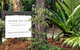 Kingfisher Bay Resort - thumb 8