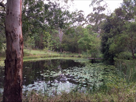 Maleny Country Cottages - Timeshare Accommodation 3