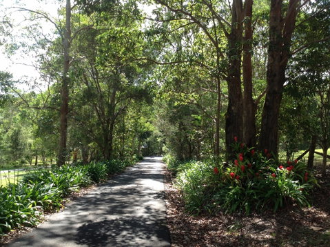 Maleny Country Cottages - Timeshare Accommodation 8