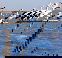 Pelican Perch Retreat - Timeshare Accommodation