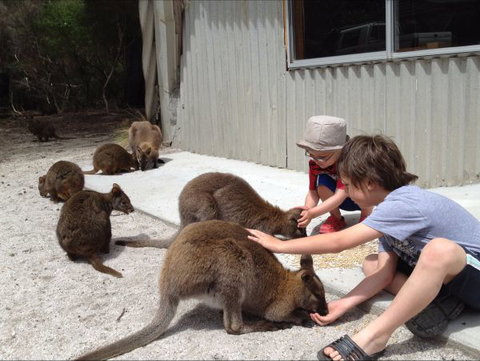 The Patriarch Wildlife Sanctuary Camping Ground - Timeshare Accommodation 0