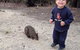 The Patriarch Wildlife Sanctuary Camping Ground - thumb 1