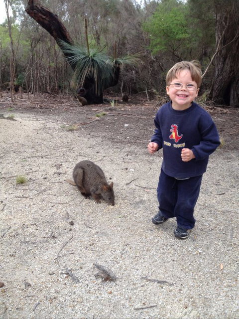 The Patriarch Wildlife Sanctuary Camping Ground - Timeshare Accommodation 1