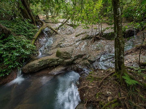 Jacky Barkers Campground - Timeshare Accommodation 3